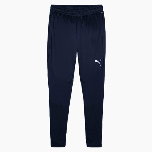 Puma teamFINAL Training Pants