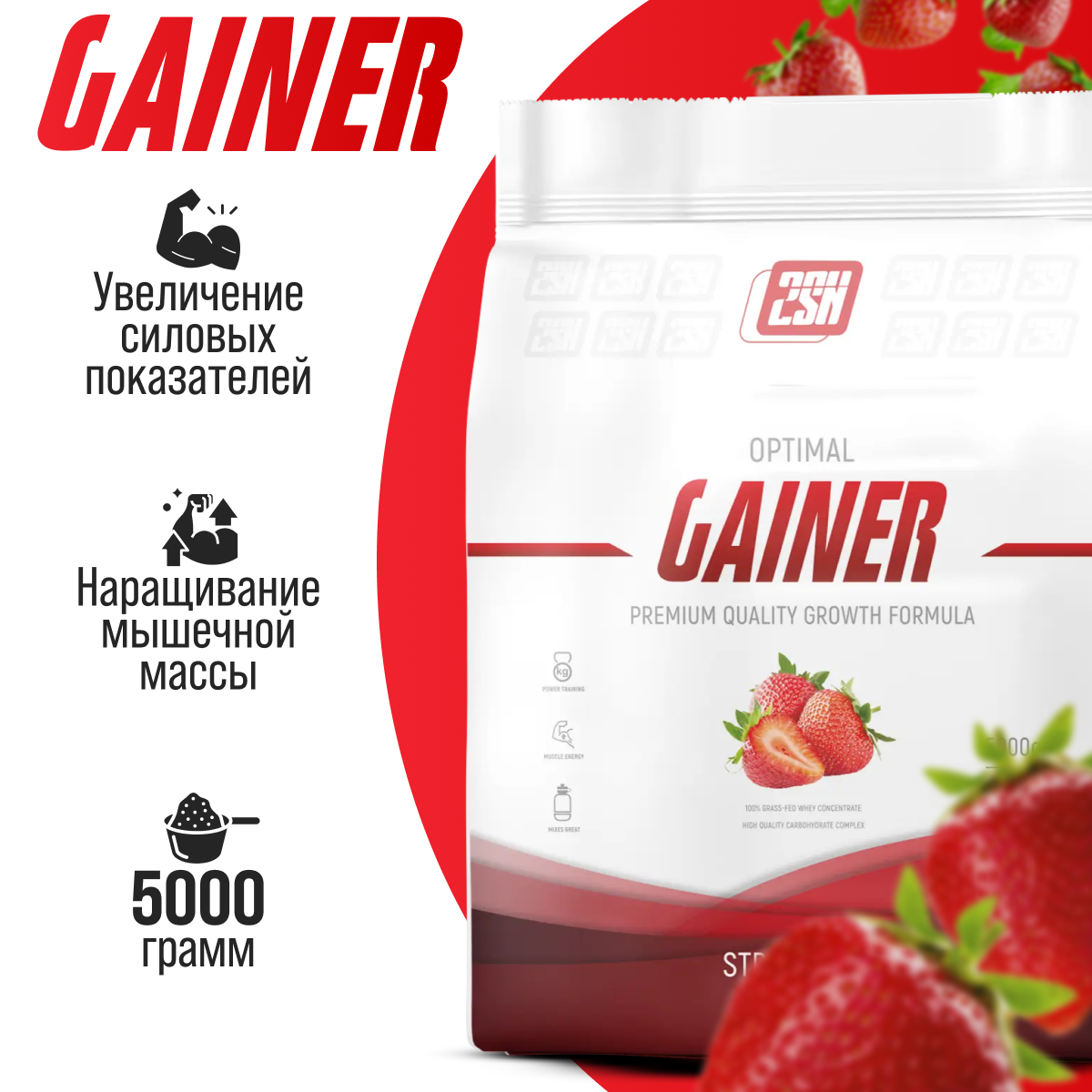 Гейнер для набора мышечной массы 2SN Gainer 5000г (Клубника)
