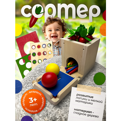 Сортер Монтессори - развивающий деревянный сортер для малышей