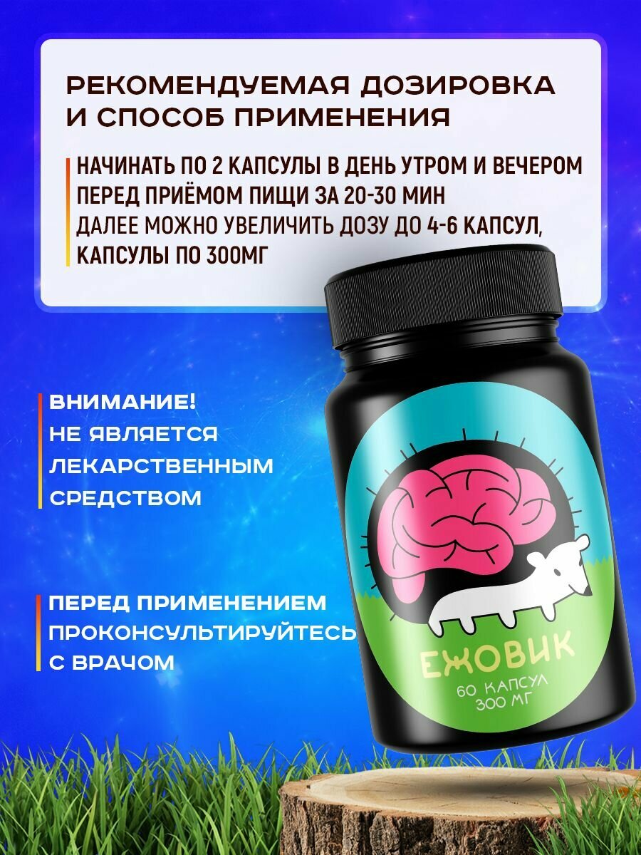 Ноотропы Ежовик гребенчатый ноотроп в капсулах 60шт плодовое тело