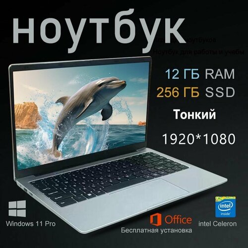 Игровые ноутбуки серебристый Langte intel J4025 Intel FHD Graphics 600 Windows Pro серебристый Русская раскладка для работы и учебы 16632₽