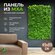 Greenery Moss / Панель зелёный микс из мха самоклеящаяся для декора и украшения ...