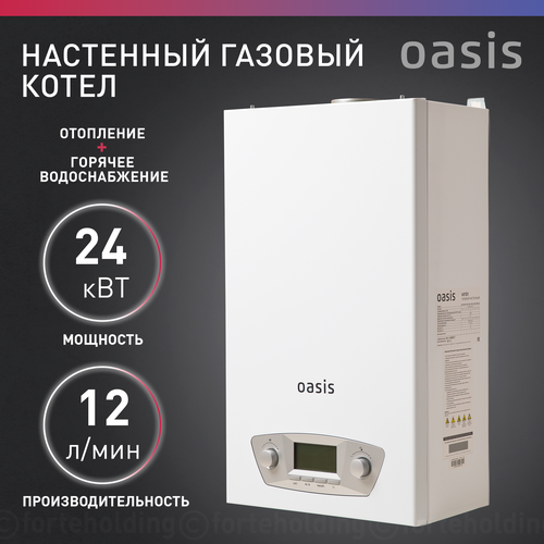 Котел газовый настенный двухконтурный бытовой Oasis Eco RE-24 44590₽