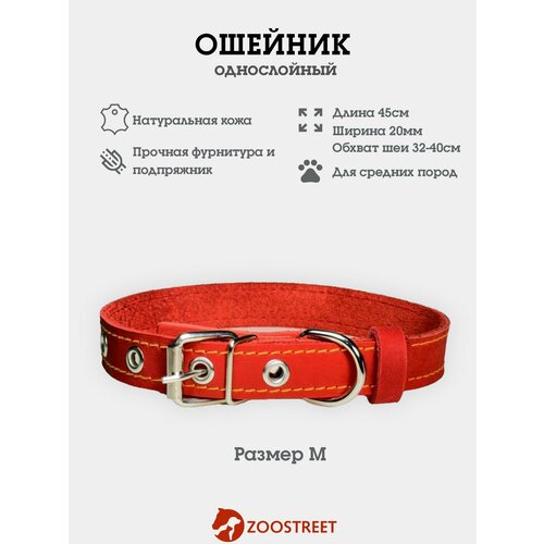 Ошейник для собак мелких пород кожаный, однослойный, 20мм, 45см, с подпряжником M