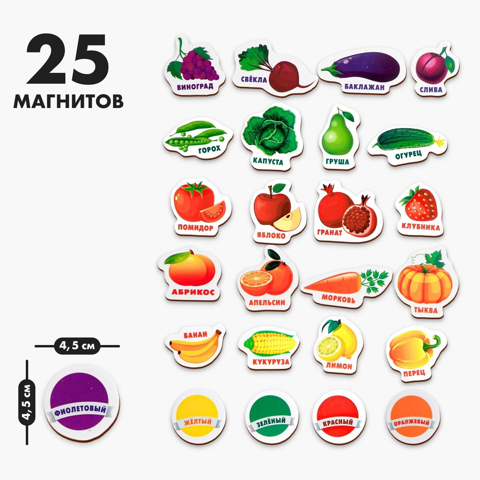 Развивающие магниты «Изучаем цвета и овощи - фрукты» (набор 25 шт.) — фото 1
