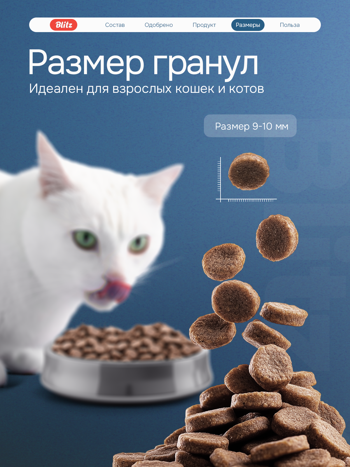 Сухой корм BLITZ STERILISED CATS TURKEY / для стерилизованных кошек с индейкой/ 10 кг — фото 1