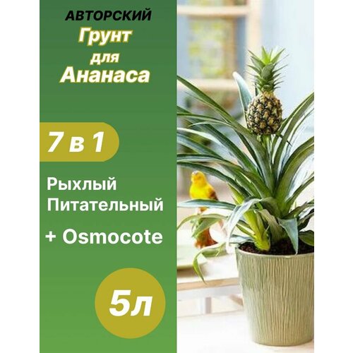 Грунт для Ананаса готовый 5л коричневый