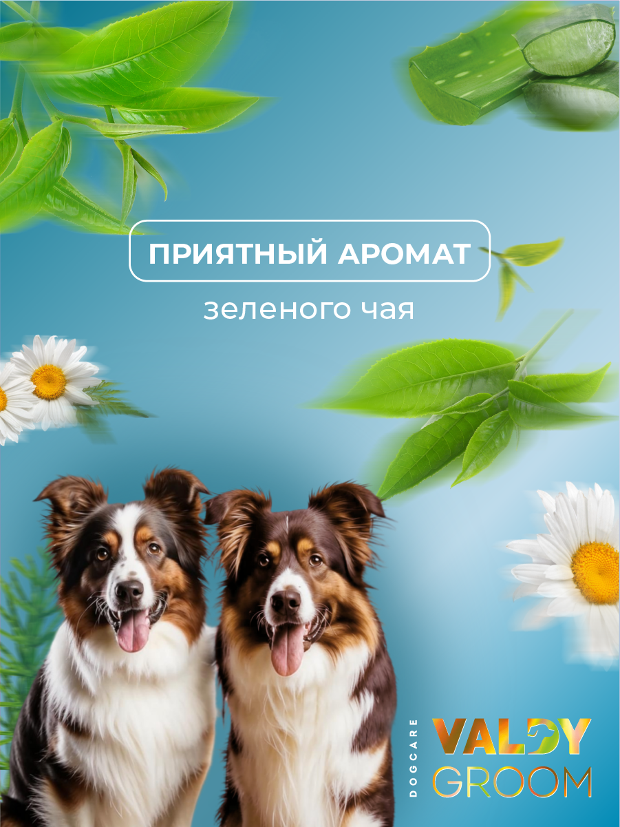 Шампунь для собак с хлоргексидином, заживляющий, противогрибковый VALDY GROOM 1000мл. — фото 1