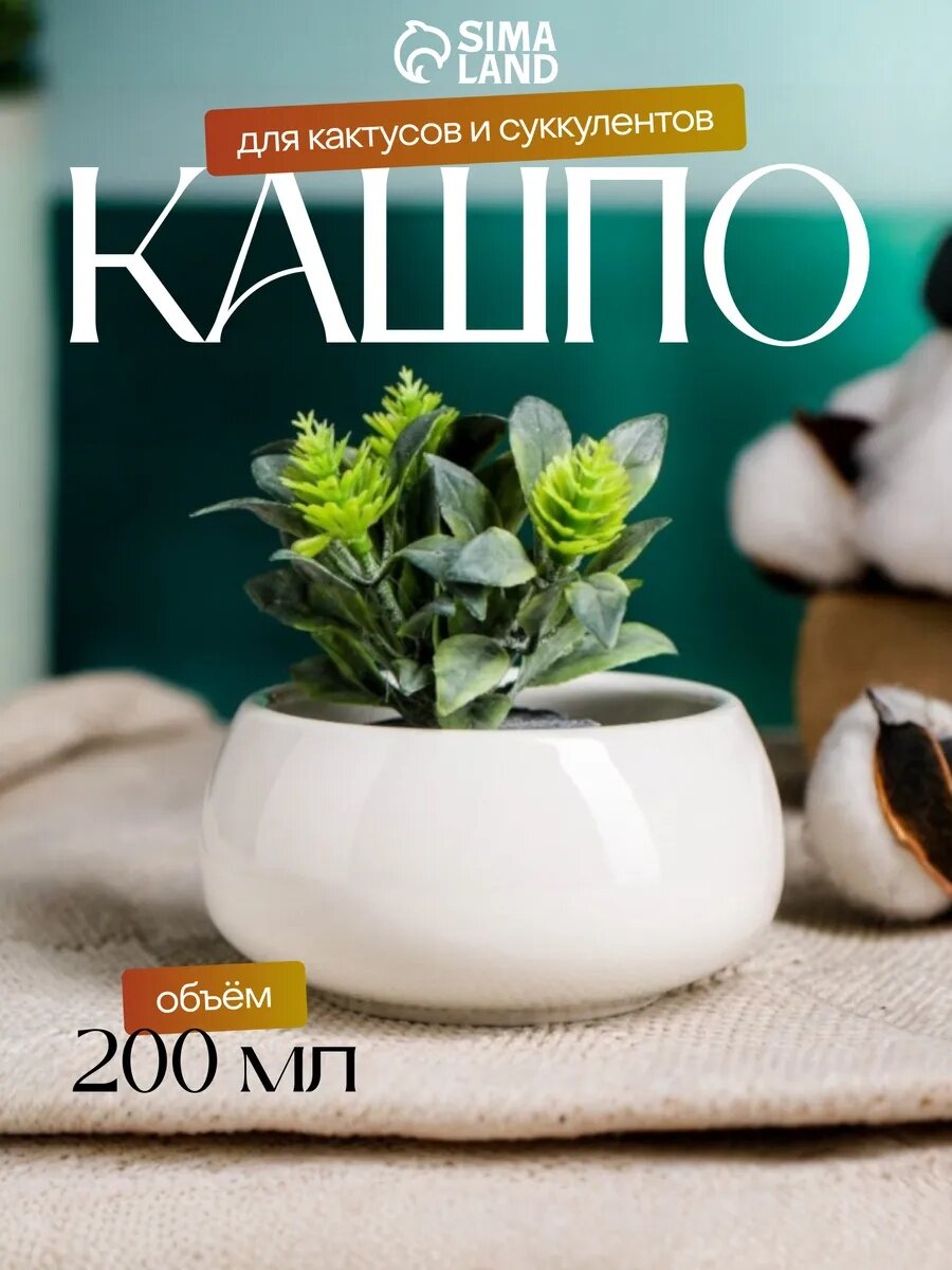 Горшок "Лайт Бонсай мини" для кактусов и суккулентов, 8х4см, белый