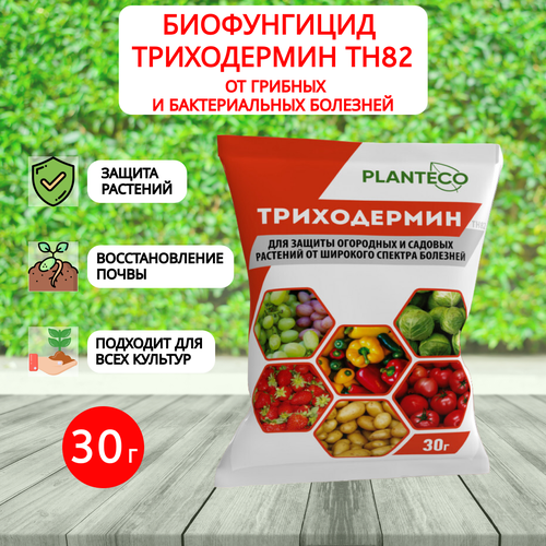 Planteco Биофунгицид Триходермин ТН82 для защиты растений от грибных и бактериальных болезней 30 г сиббиотех сбт триходермин тн82 300 г