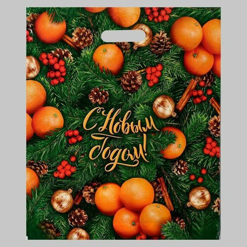 Пакет Спелая зима полиэтиленовый с вырубной ручкой 40х47 см 45 мкм набор 5 штук 682₽