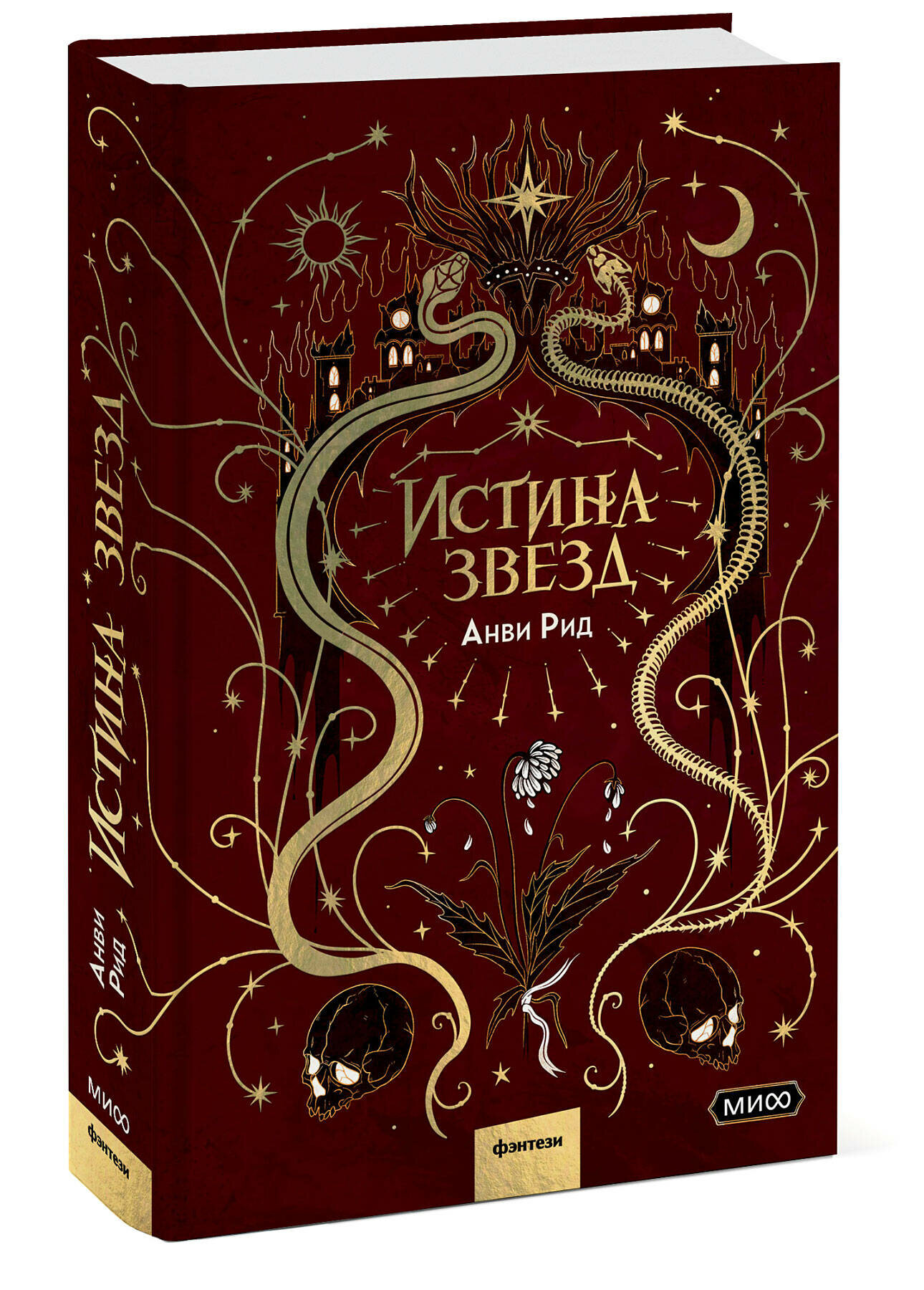 Истина звезд (Рид Анви) - фото №1
