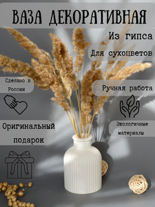 Основная фотография от вендора