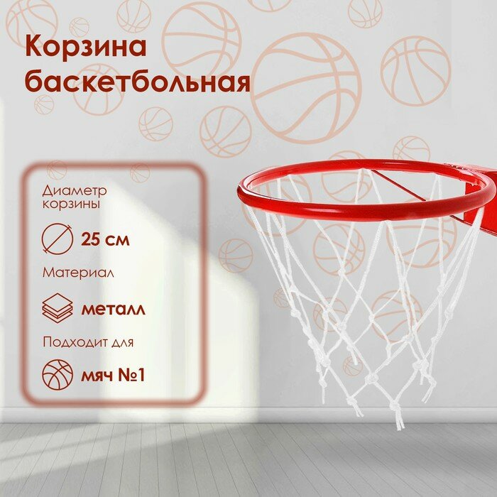 Корзина баскетбольная 1, d=250 мм, с упором и сеткой 789125 .