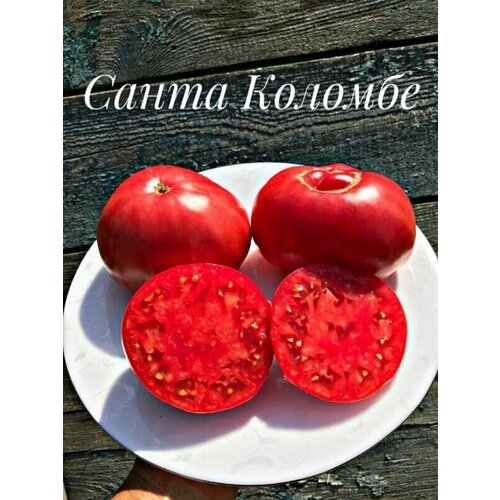 Коллекционные семена томата Сент Коломб