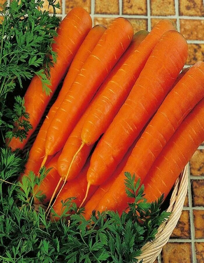 Коллекционные семена моркови Супер мускат
