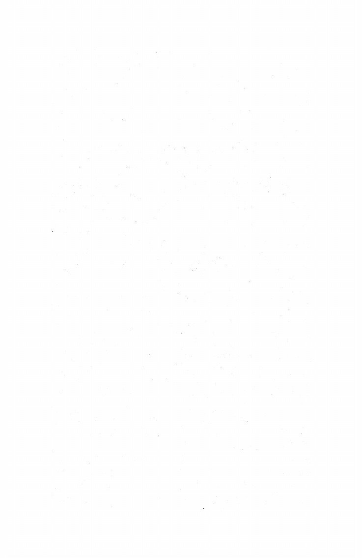 The Secret (R. L. Stine, Patricia MacDonald) - фото №8