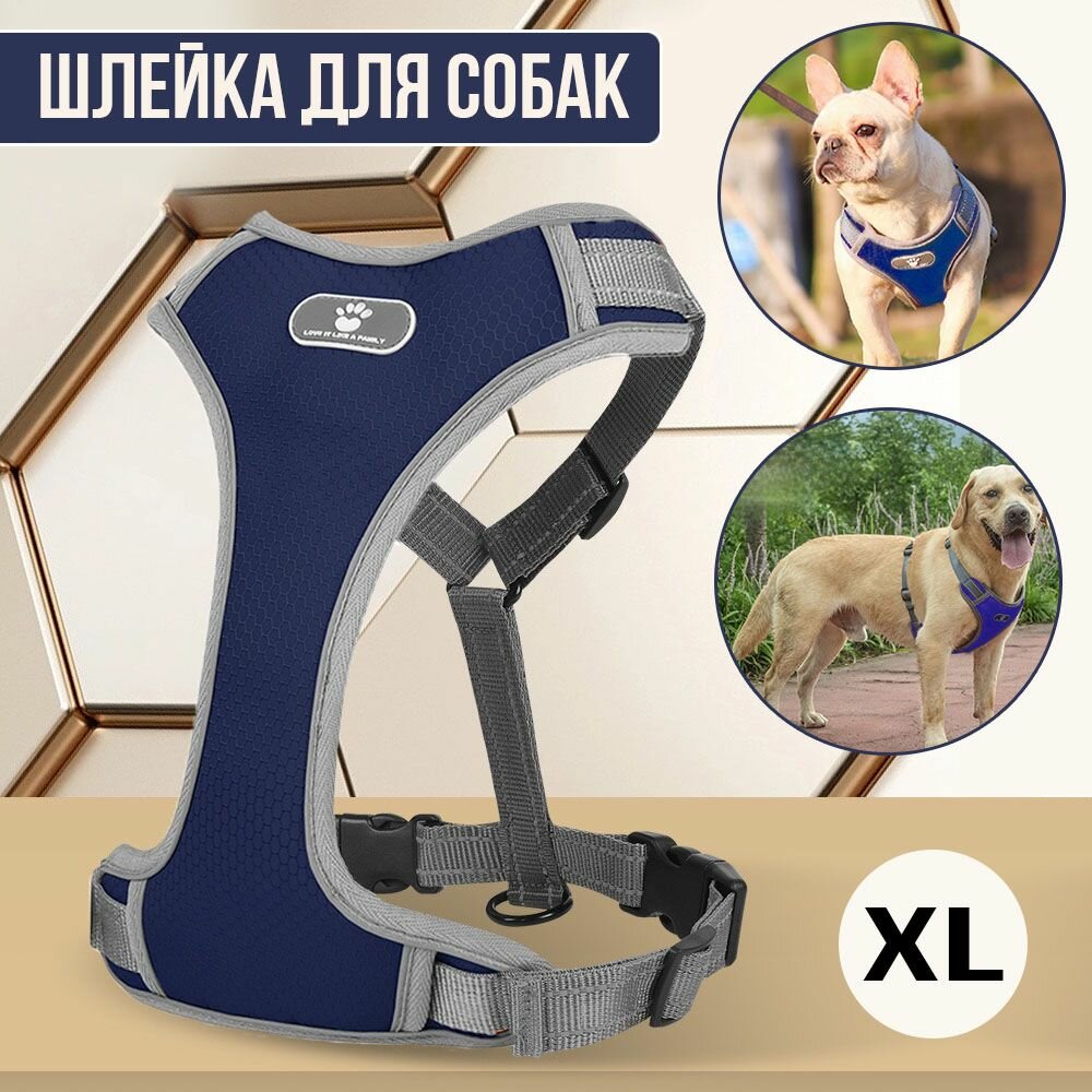 Шлейка анатомическая для собак, со светоотражателем, синяя, размер XL