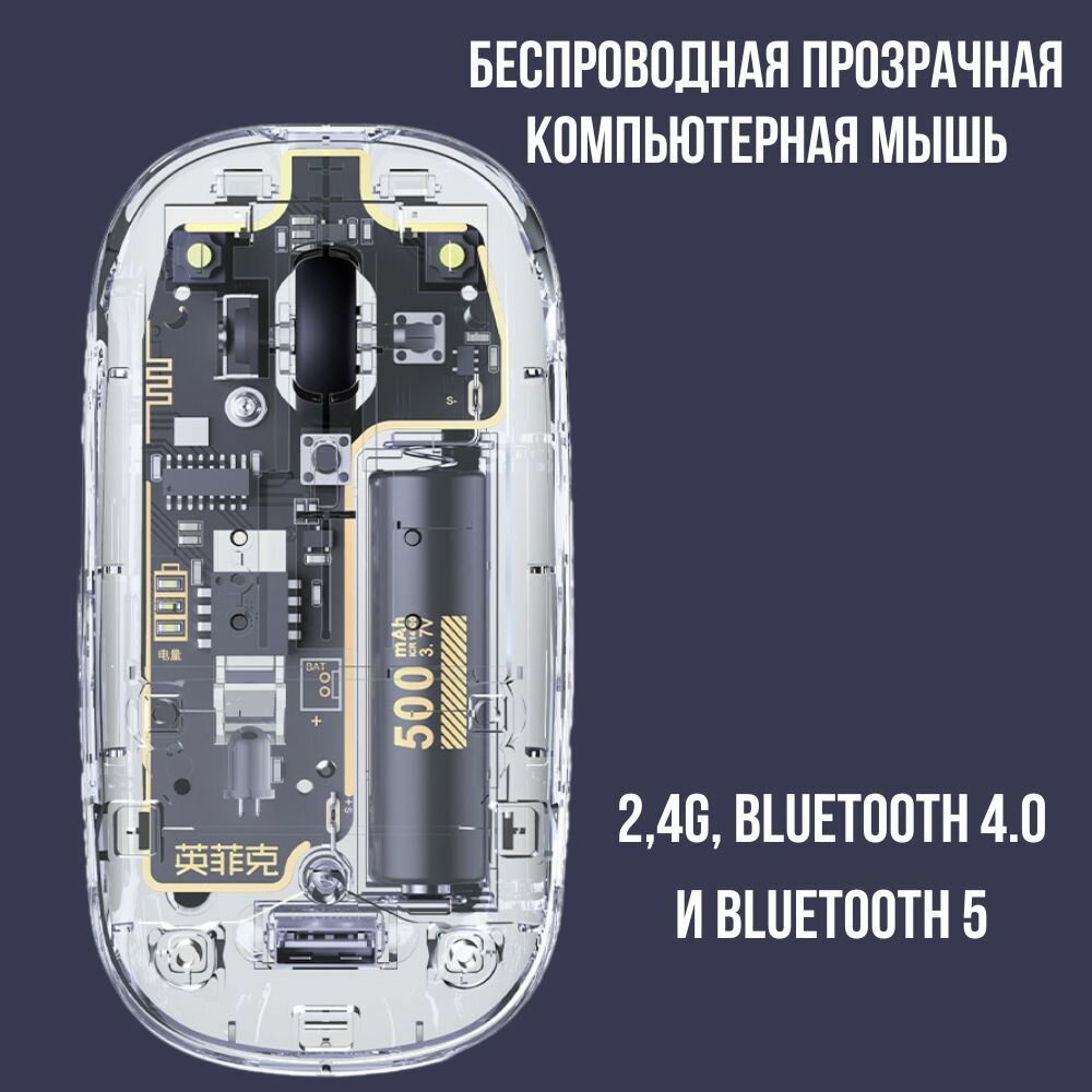Мышь прозрачная — фото 2