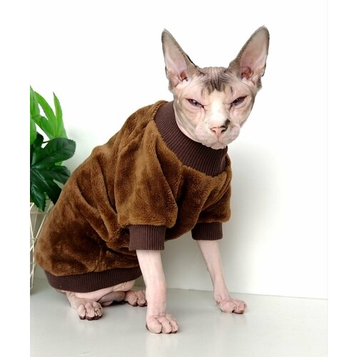 Толстовка, свитер, шуба для кошек сфинкс, размер 30 (длина спины 30см), цвет коричневый/ одежда для кошек сфинкс / одежда для животных
