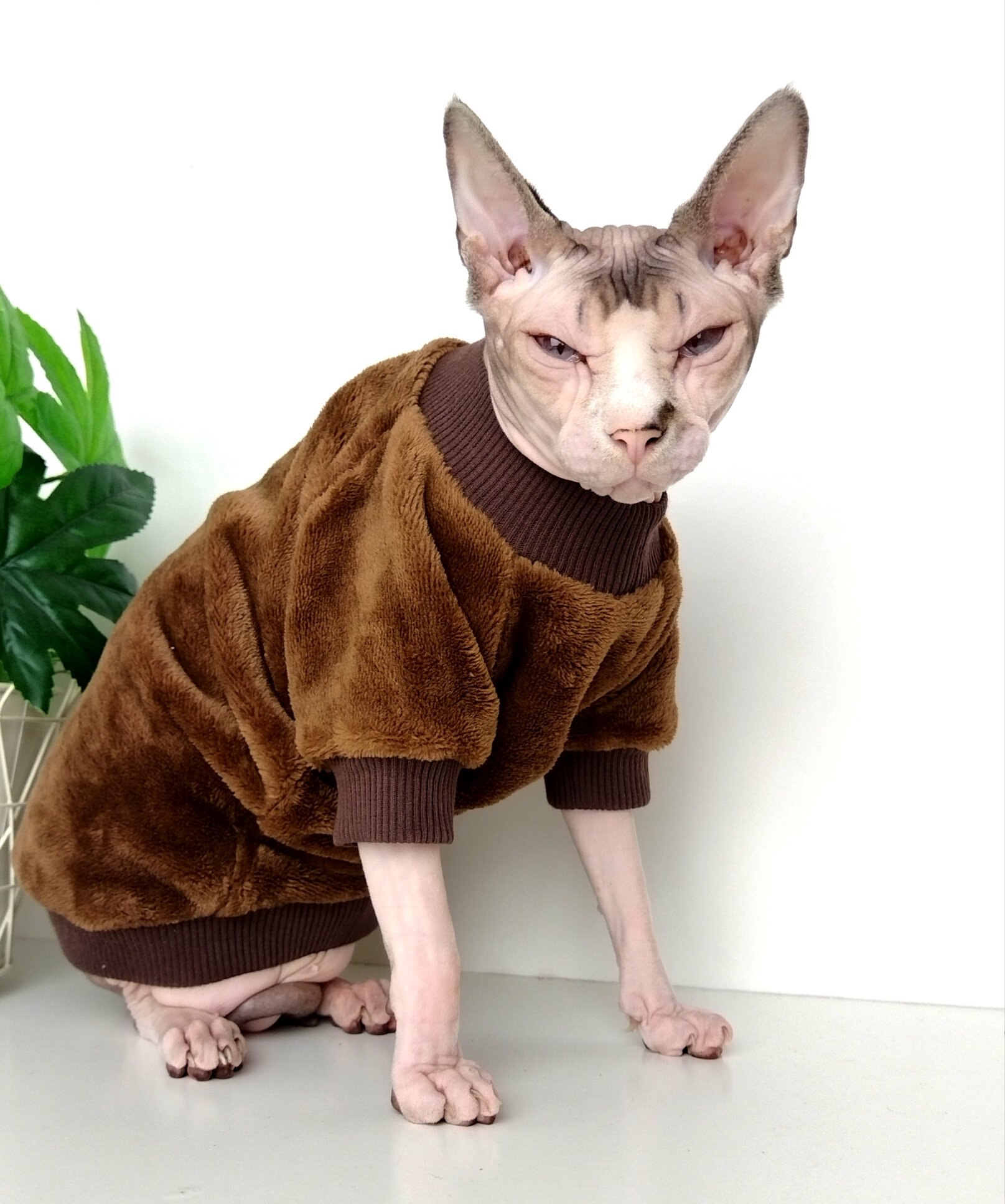 Толстовка, свитер, шуба для кошек сфинкс, размер 35 (длина спины 35см), цвет коричневый/ одежда для кошек сфинкс / одежда для животных