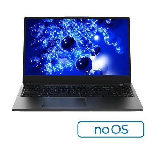 Ноутбук HIPER EXPERTBOOK 161 black H1600O582DM 5631000₽