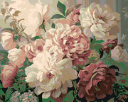 Картина по номерам Цветы Чайные розы 40х50