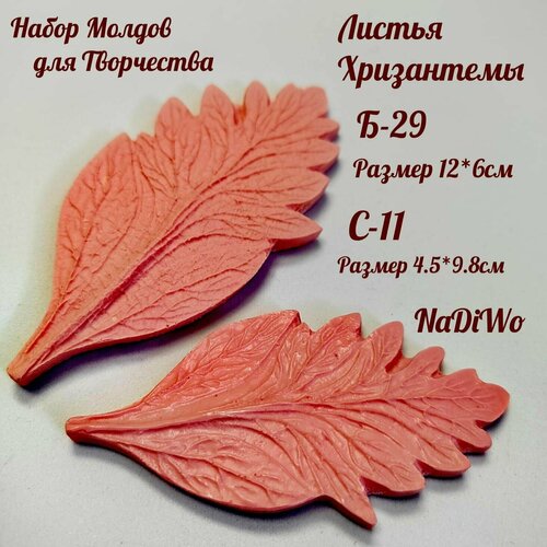 Набор молдов для изолона и фоамирана, набор из 2-х листов хризантема 12*6 см и 9,8*4,5 см NaDiWo