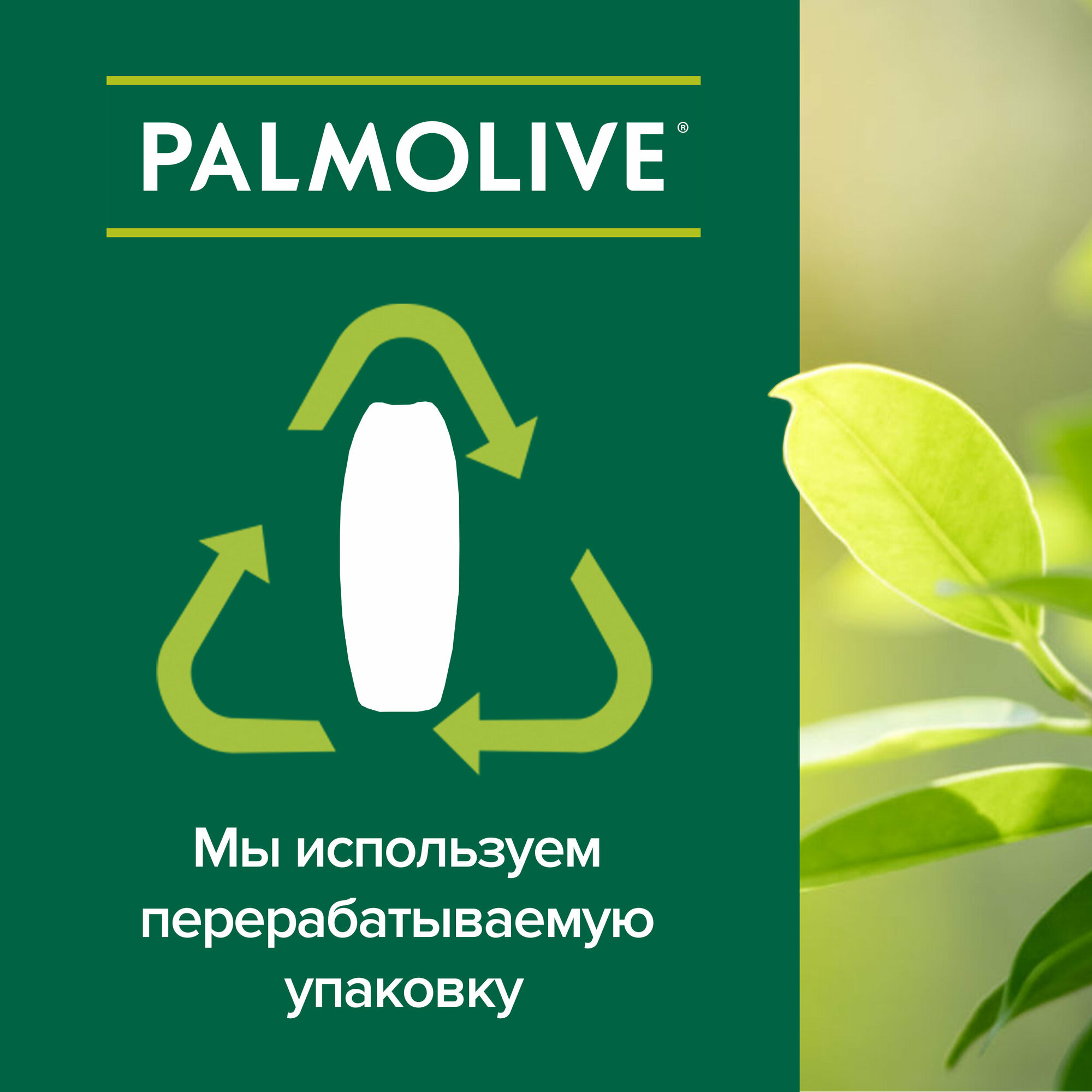 Гель-крем для душа Palmolive Натурэль Питание Мед и увлажняющее молочко, 750 мл — фото 1