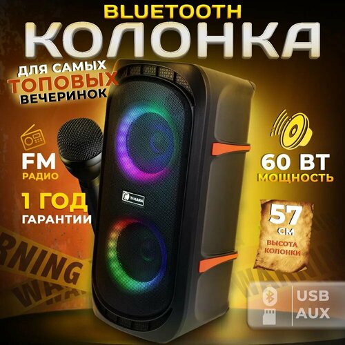 Портативная аудиосистема TAKARA PARTY 602 музыкальный центр колонка 60Вт минисистема 1132900₽