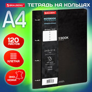 Тетрадь на кольцах со сменным блоком А4 240х310 мм, 120 листов, под кожу Black, Brauberg Vista, 404512