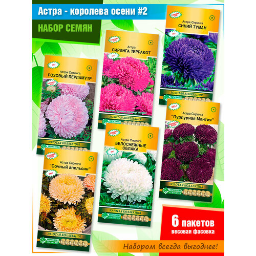 Набор семян садовых цветов Астра - королева осени #2 от Евросемена (6 пачек) астра королева сада биколор