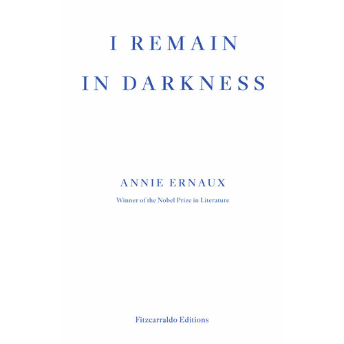 I Remain in Darkness | Ernaux Annie