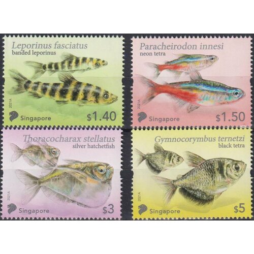 Почтовые марки Сингапур 2021г. Морская жизнь - Тетра Фиш Рыбы MNH