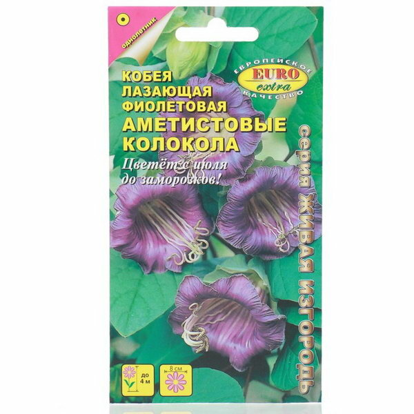 Семена цветов Кобея "Аметистовые колокола" фиолетовая, 0.3 г