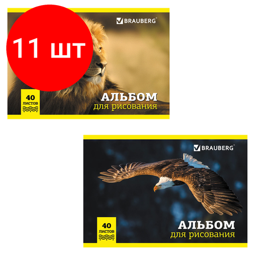 Комплект 11 шт, Альбом для рисования, А4, 40 л, скоба, обложка картон, BRAUBERG, 200х283 мм, Дикие животные (2 вида), 104876