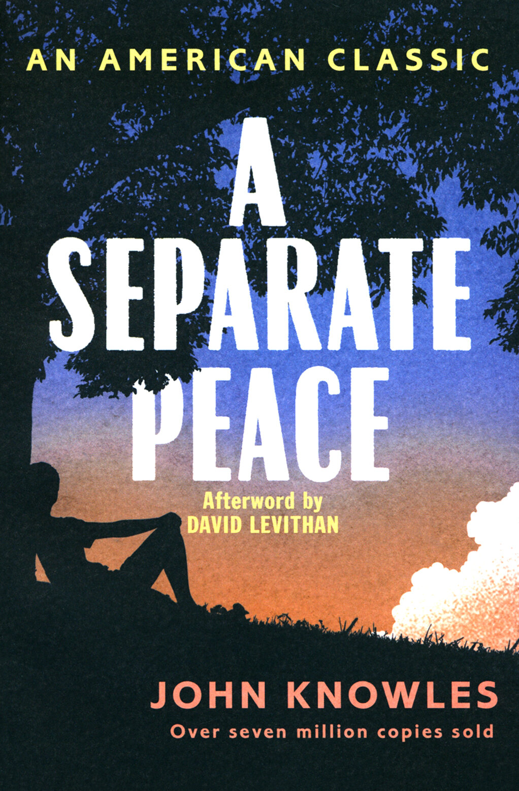 A Separate Peace (без автора) - фото №1