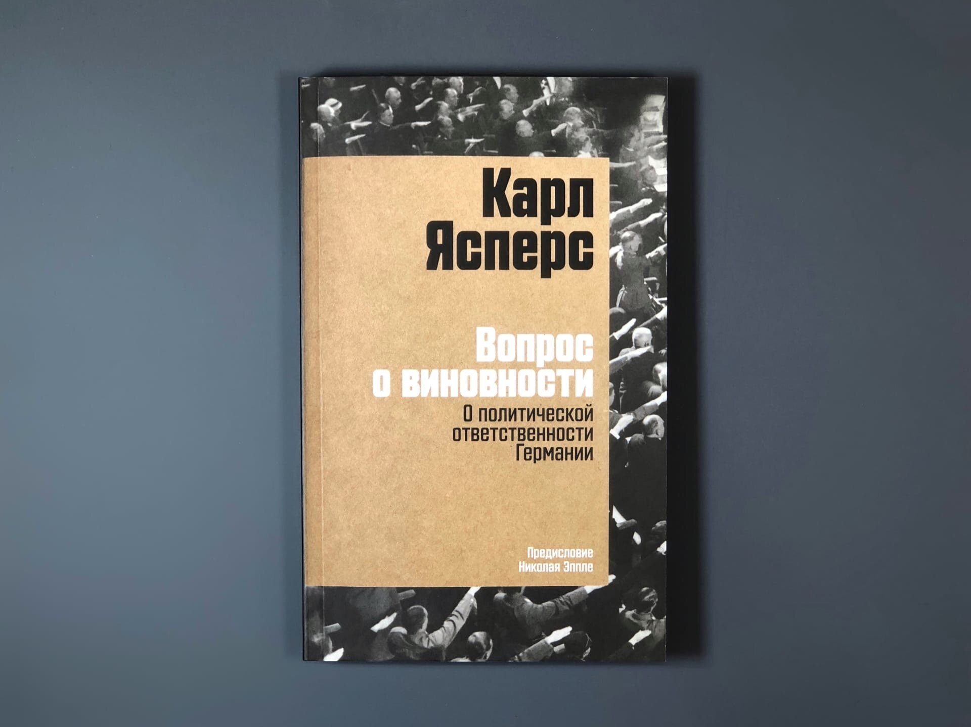 Вопрос о виновности. О политической ответственности Германии. Предисловие Николая Эппле - фото №14
