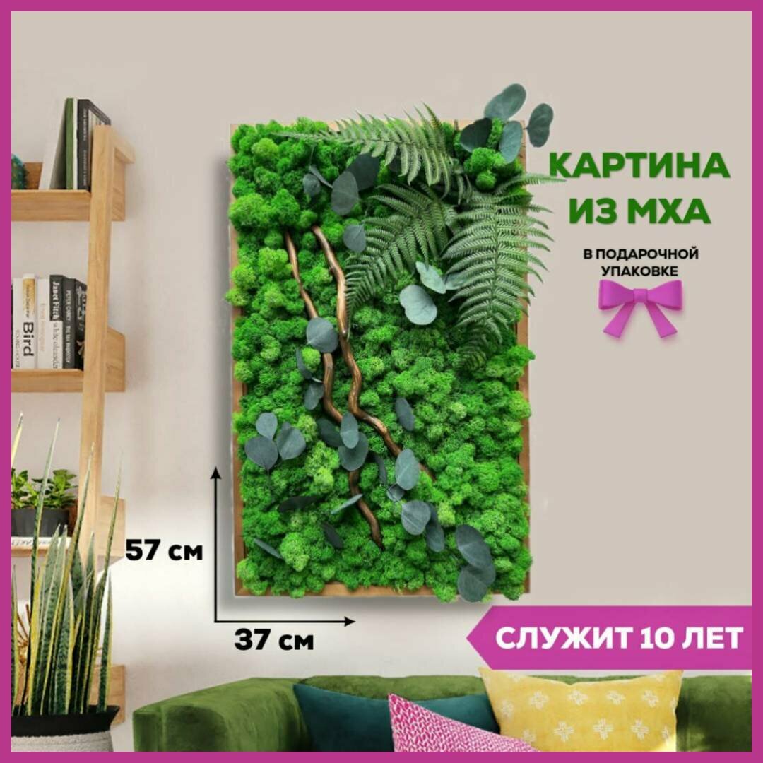 Панно Bloom Showroom из стабилизированного мха "Лучший подарок" 38х58