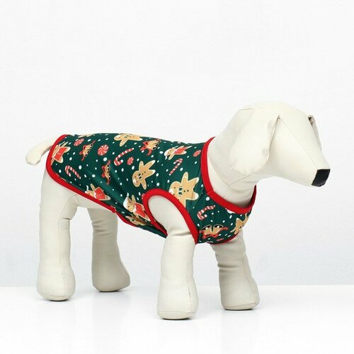 Толстовка Пряня размер L ДС 35 ОШ 35 ОГ 45 см зелёная 653₽