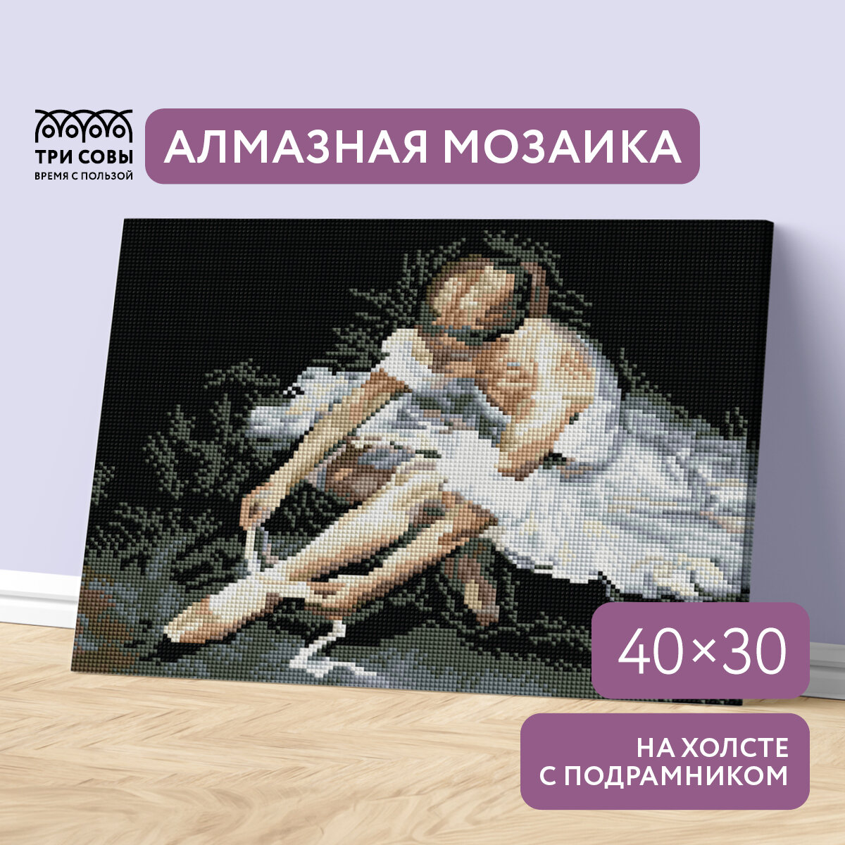 Алмазная мозаика ТРИ совы "Балерина", 30*40см, холст на деревянном подрамнике, картонная коробка с пластиковой ручкой