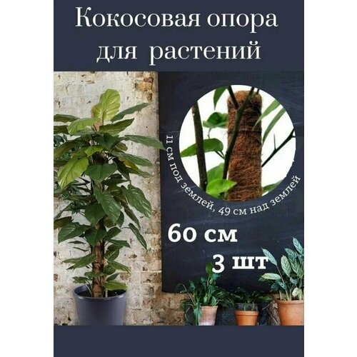 Кокосовая опора для комнатных и садовых цветов, держатель для растений в оплетке, 60 см , 3 шт