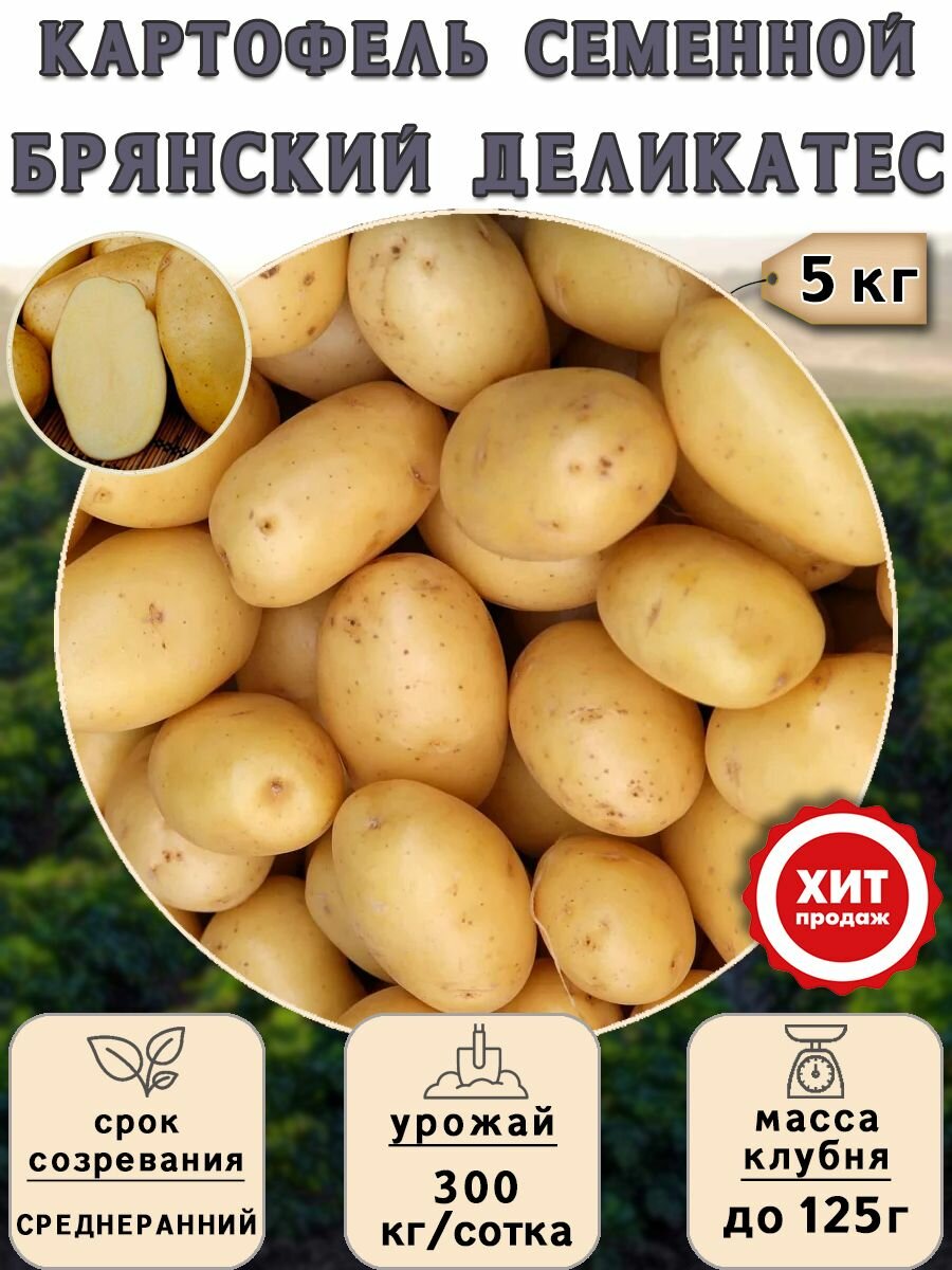 Клубни картофеля на посадку Брянский деликатес (суперэлита) 5 кг Среднеранний