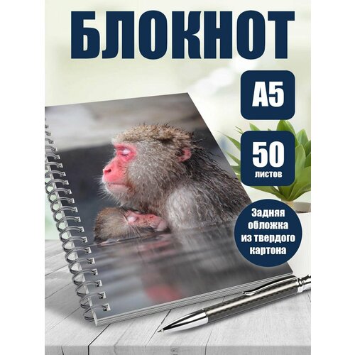 Тетрадь 50 листов в клетку Обезьяны 446₽