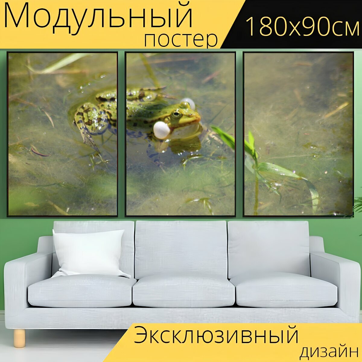 Модульный постер "Лягушка, пруд лягушка, водяная лягушка" 180 x 90 см. для интерьера