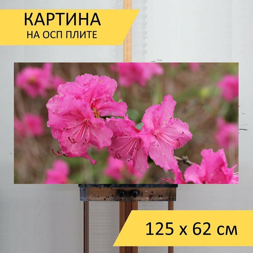 Картина на ОСП 125х62 см. 