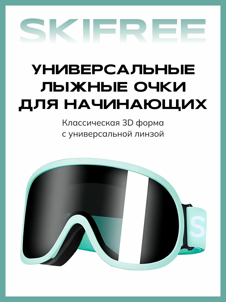 Маска горнолыжная SKIFREE - S1