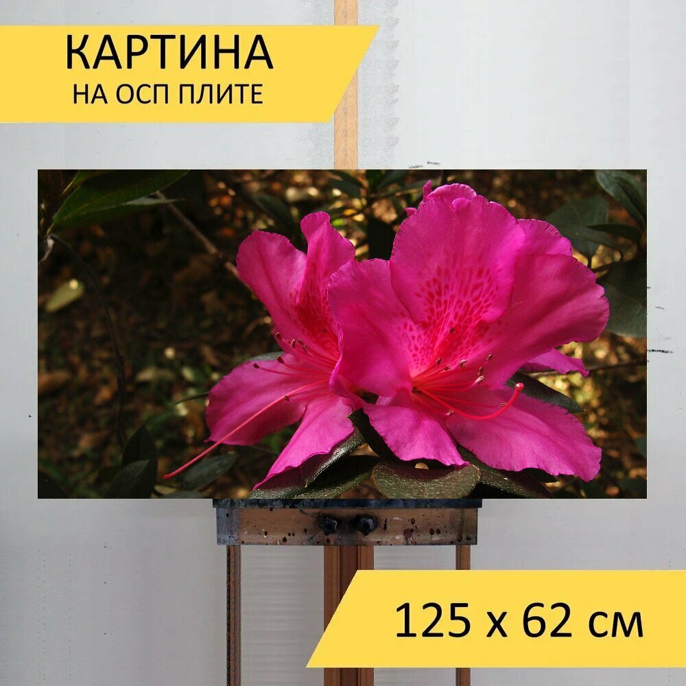 Картина на ОСП 125х62 см. 