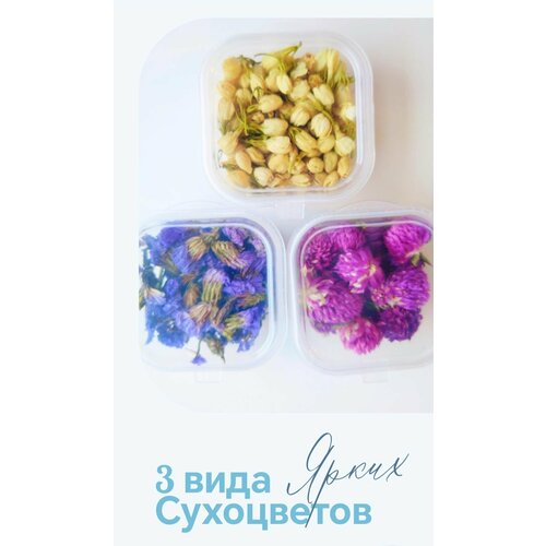Сухоцветы набор для декора 3 вида