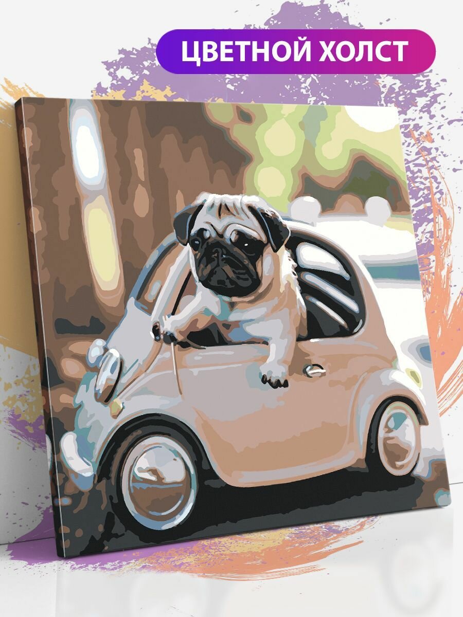 Картина по номерам на холсте с подрамником, "Мопс в автомобиле, собака в машине", 40х40 см